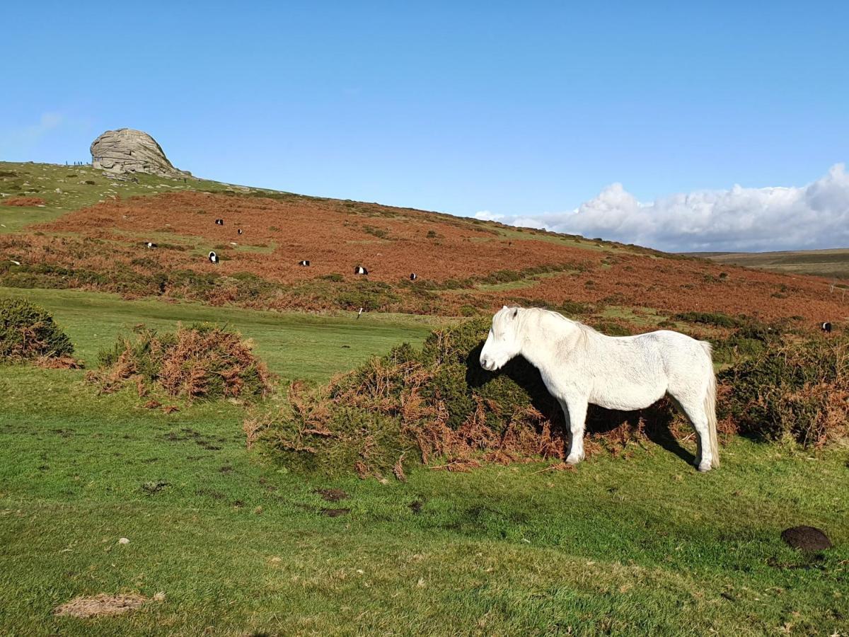 The Stable - The Cottages At Blackadon Farm Ivybridge Exteriör bild